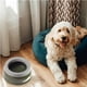 thumbnail image 5 of Cuenco de agua para mascotas sin derrames, Cuenco dispensador de agua con tapón de baba para perros, Cuenco de agua para mascotas con flotabilidad, 5 of 5