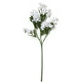 thumbnail image 2 of 16 Pack: White Double Baby's Breath Stem by Ashland, 2 of 3