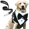 thumbnail image 4 of Pet Hand Holding Rope Anti Breaking Loose Suit Integrated Chest Strap, 4 of 6