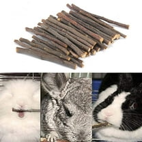 Cheers.US 20/40/60Pcs Wood Chew Sticks Twigs String Molar Pet Rabbit Hamster Chinchilla Toys