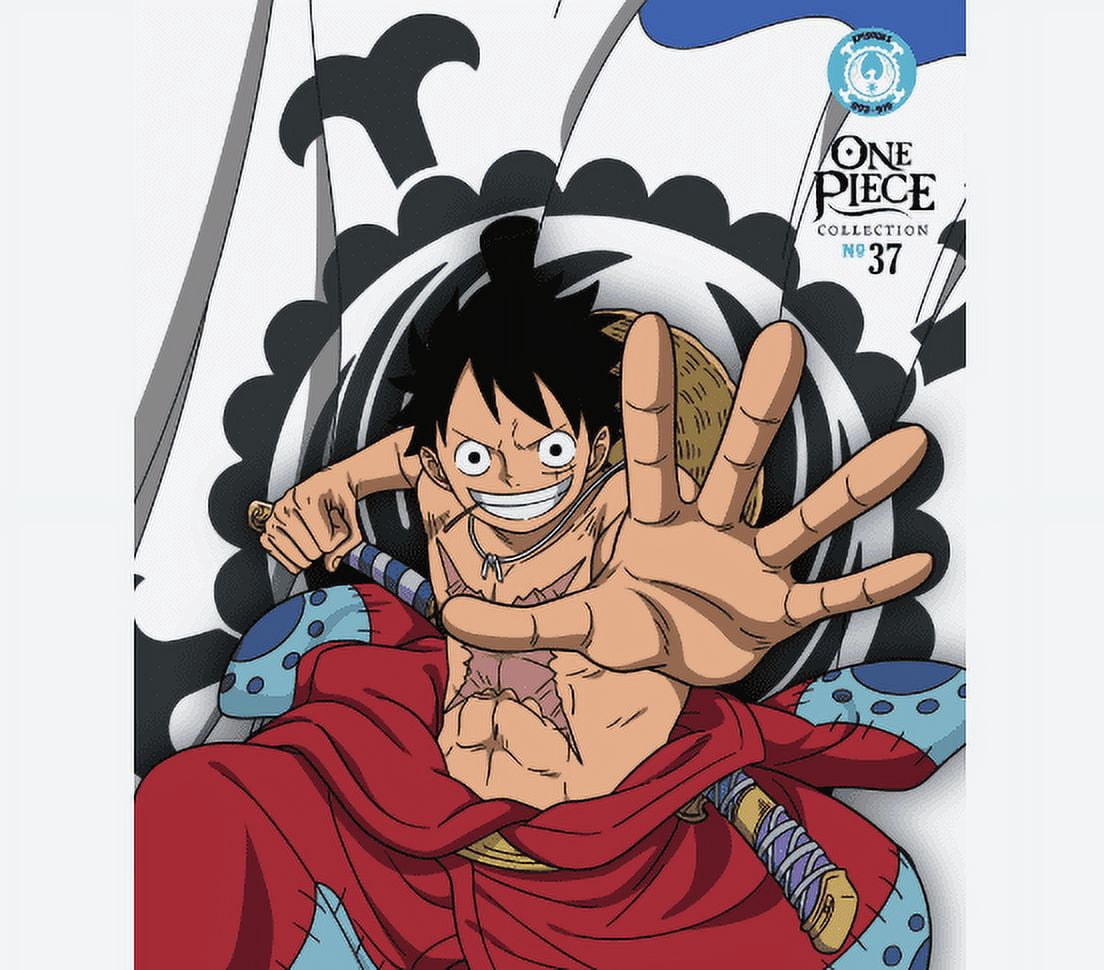 One Piece: Collection 37 (Bluray + DVD) - Walmart.com