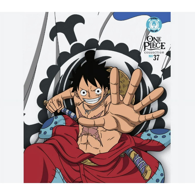 One Piece: Collection 37 (Bluray + DVD) - Walmart.com
