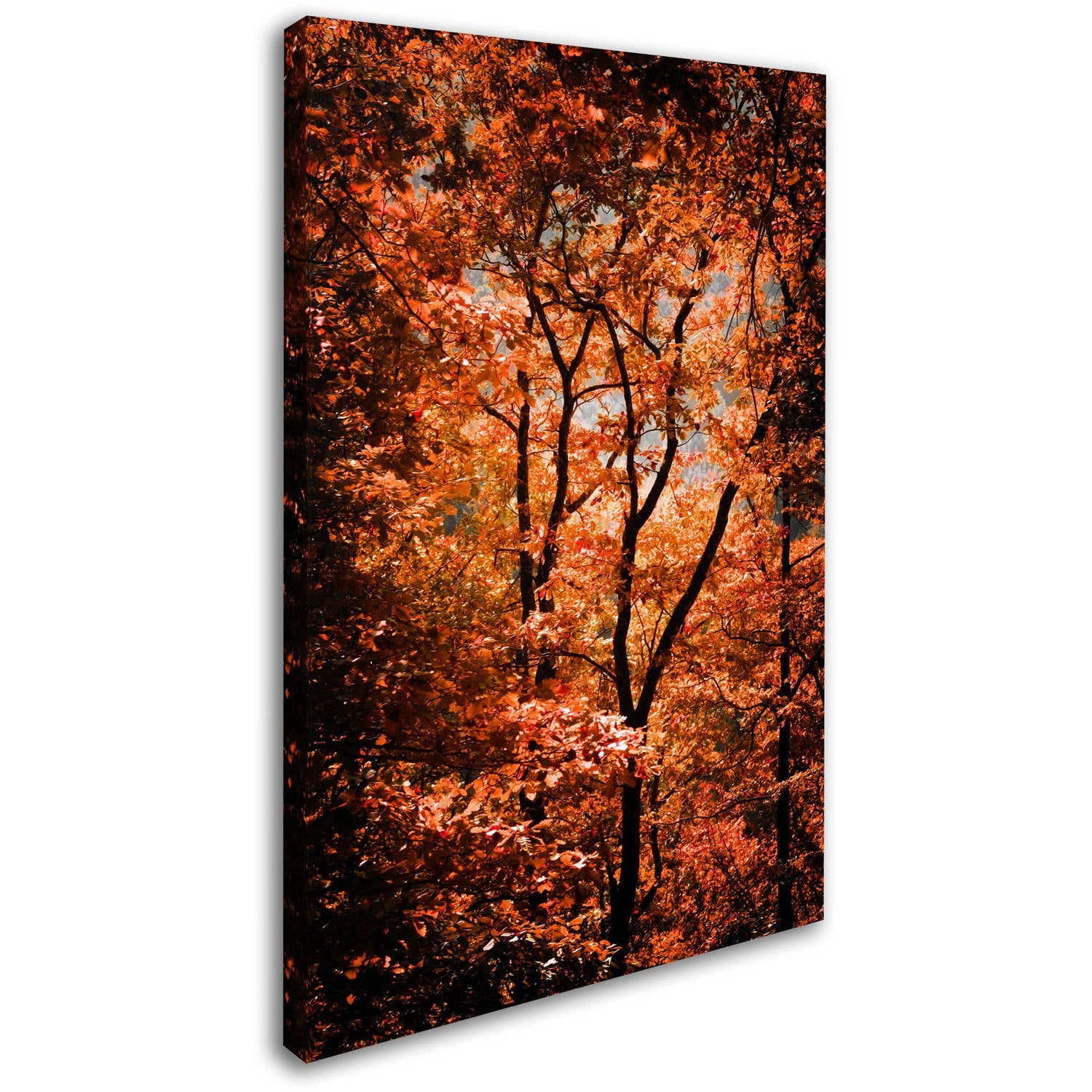 Trademark Fine Art "Autumn Whispers" Canvas Art by Philippe Sainte-Laudy