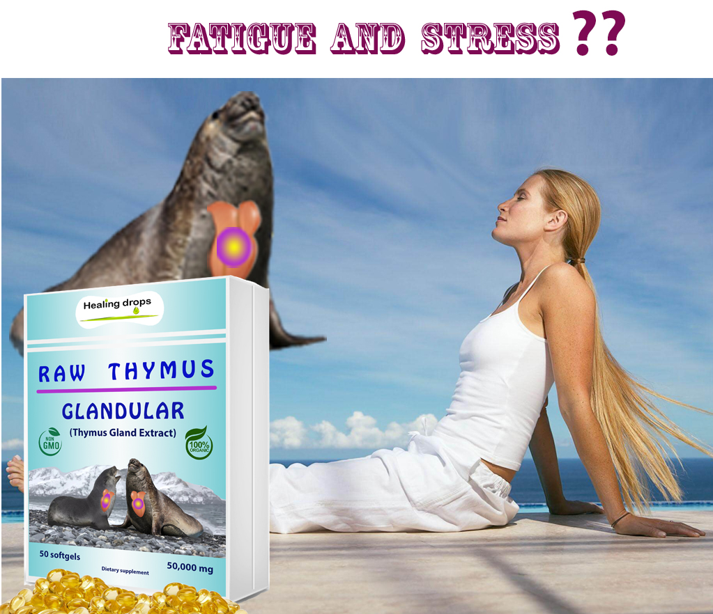 Buy Thymus Glandular Supplement Raw Tissue Extract Supports Immune
