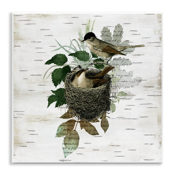 Stupell Industries Birds in Vintage Nest Animals Painting Unframed Art Print Wall Art, 12 x 12