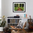 thumbnail image 4 of Art.com Trail Winding Through Redwoods Photographic Print by Darrell Gulin, Black Frame Wall Art, 40" x 32", 4 of 5