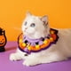 thumbnail image 3 of Collar Para Gatos De Halloween Con Diseño De Calabaza De Punto, Accesorios Para Mascotas Para Interior Y Exterior, Festivo, Cómodo Y Duradero, Poliéster, 3 of 4
