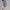Grey, variant on WNEGSTG Cargo Pants for Men Short Casual Shorts Work Outdoor
