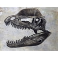 thumbnail image 2 of Dilophosaurus dinosaur skull Poster Print, 2 of 2