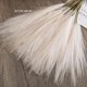 thumbnail image 1 of Ramo de flores de imitación, caña Artificial de viento, 10 piezas, decoración Bohemia para el hogar, sala de estar, decoración de boda y Navidad, 1 of 5
