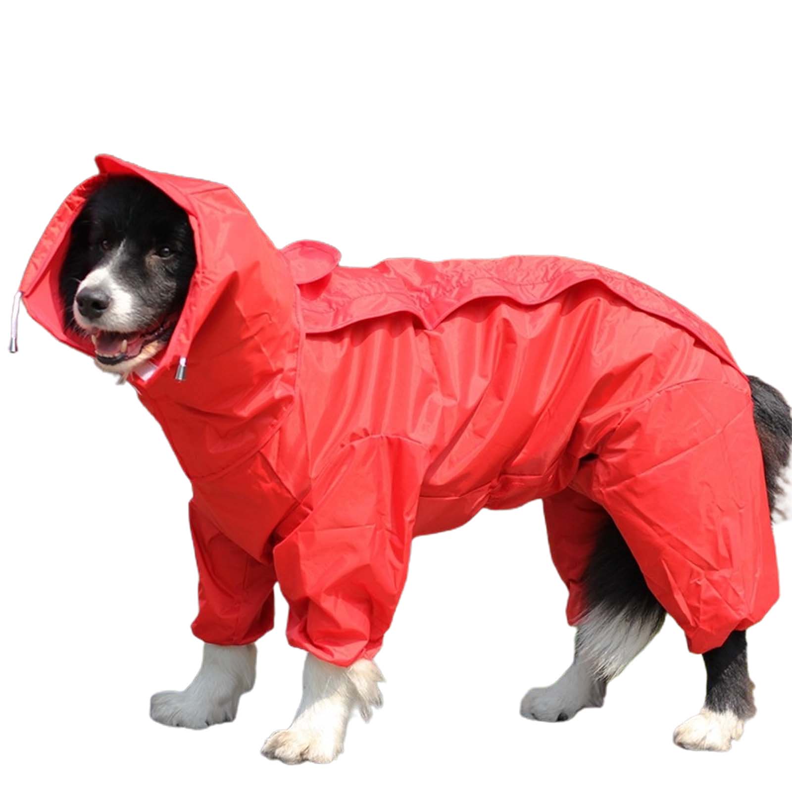 Nuolin Pet Raincoat Medium and Large Dog Golden Retriever Samoyed