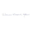 thumbnail image 3 of Waterman WATS0951700 Expert Medium Tip Ballpoint Pen, 3 of 4