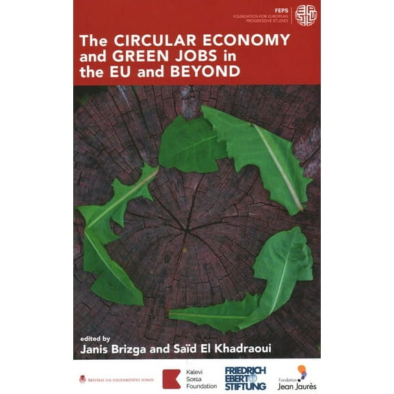 Circular Economy and Green Jobs in the EU and Beyond (Paperback)