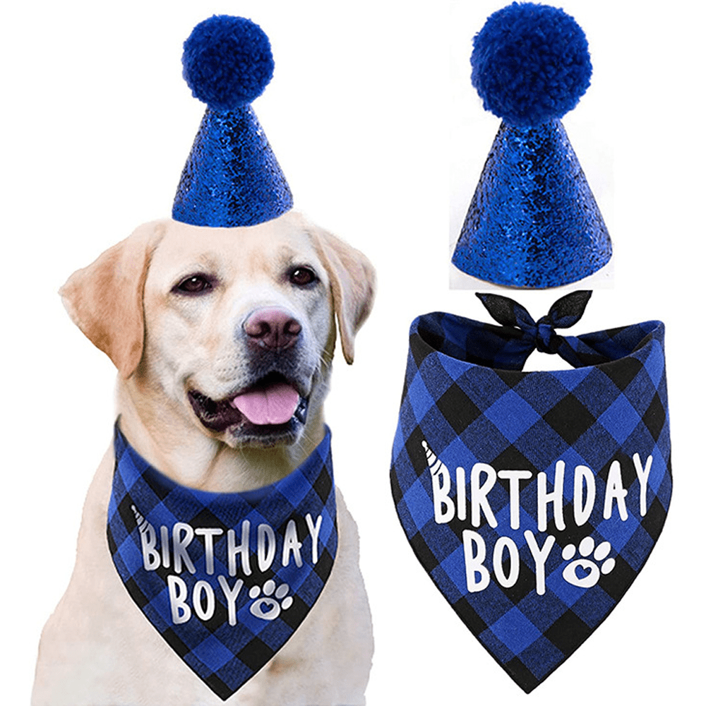 dog birthday collar bandana