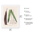 thumbnail image 2 of Palm Tree Leaf - Betel Nut Subfamily - (Oenocarpus Distichus) - Vintage Botanical Illustration by Carl Friedrich Philipp von Martius c.1820s - Japanese Unryu Rice Paper Art Print 24 x 32 in, 2 of 4