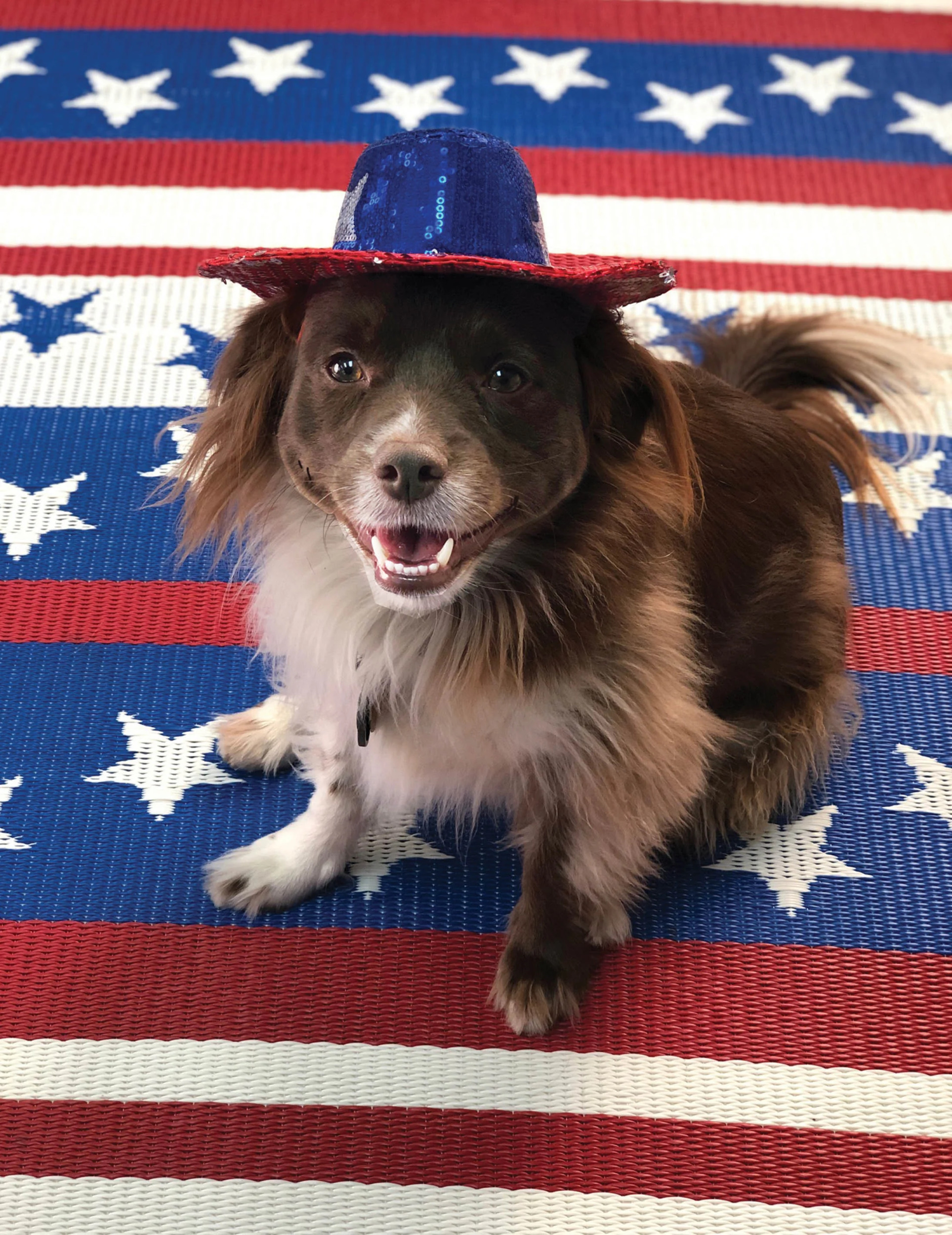 Cheers Red White  Blue