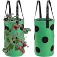 thumbnail image 1 of 2pcs Strawberry Grow Bags 3 Gallon, Grow Pouches Plant Growing Hanger Bag, 1 of 5