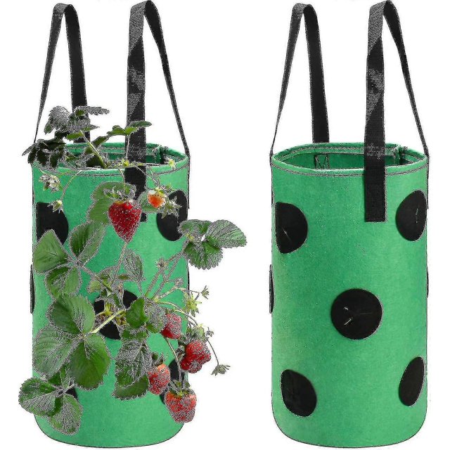 2pcs Strawberry Grow Bags 3 Gallon, Grow Pouches Plant Growing Hanger Bag