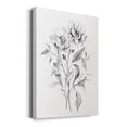 thumbnail image 2 of Wild Roses Sketch Premium Gallery Wrapped Canvas - Ready to Hang, 2 of 9