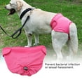 thumbnail image 4 of ROPA Interior para perros, Pantalones Fisiológicos Femeninos 1 Por Ciento ROPA Interior de Perro, Pantalones de Algodón para para Perros para Gato de Animal de Mascota de Perro, 4 of 7