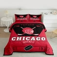 thumbnail image 2 of jejeloiu Ice Hockey Full Size Comforter Sets,Sport City Bedding Comforter Set,Chicago Bedding Sets For Boys Teens,Ultra Soft Home Decor Reversible,3-Piece, 2 of 8