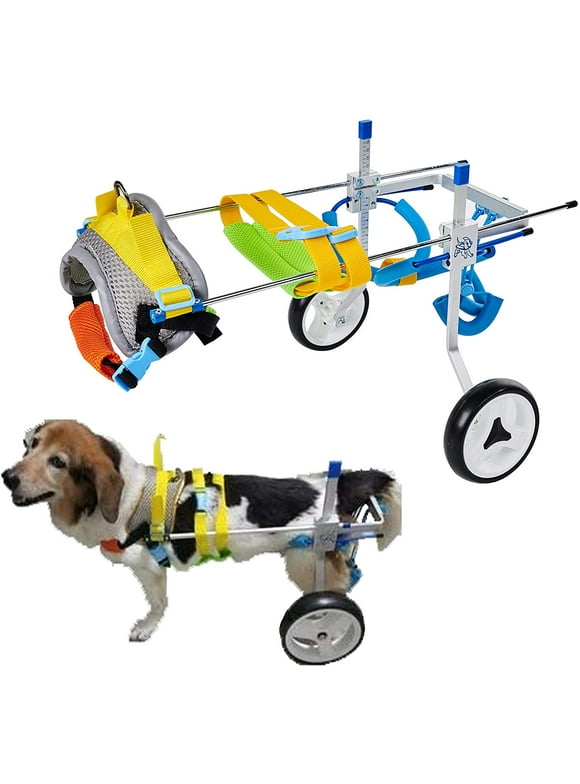Dog Wheelchairs in Dog Health and Wellness