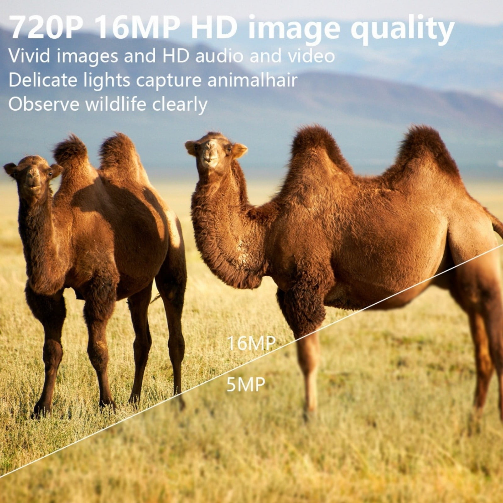 Trail Camera with Infrared Night Vision, Motion Activated Game Camera with 1080P Video, No-Glow IR & Weather-Resistant Design, Wildlife Camera for Outdoor Use