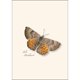 thumbnail image 2 of Juego de tarjetas de notas Earth Sky + Water 9 cm x 13 cm, paquete de 8, 2 of 6