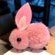 thumbnail image 1 of Lindo conejo niña pinza de pelo pinza de pelo elástica niños peludo pelo rizado cola de caballo pinza de pelo pinza de pelo Wmkox8yi sjalhkljlk3450, 1 of 2