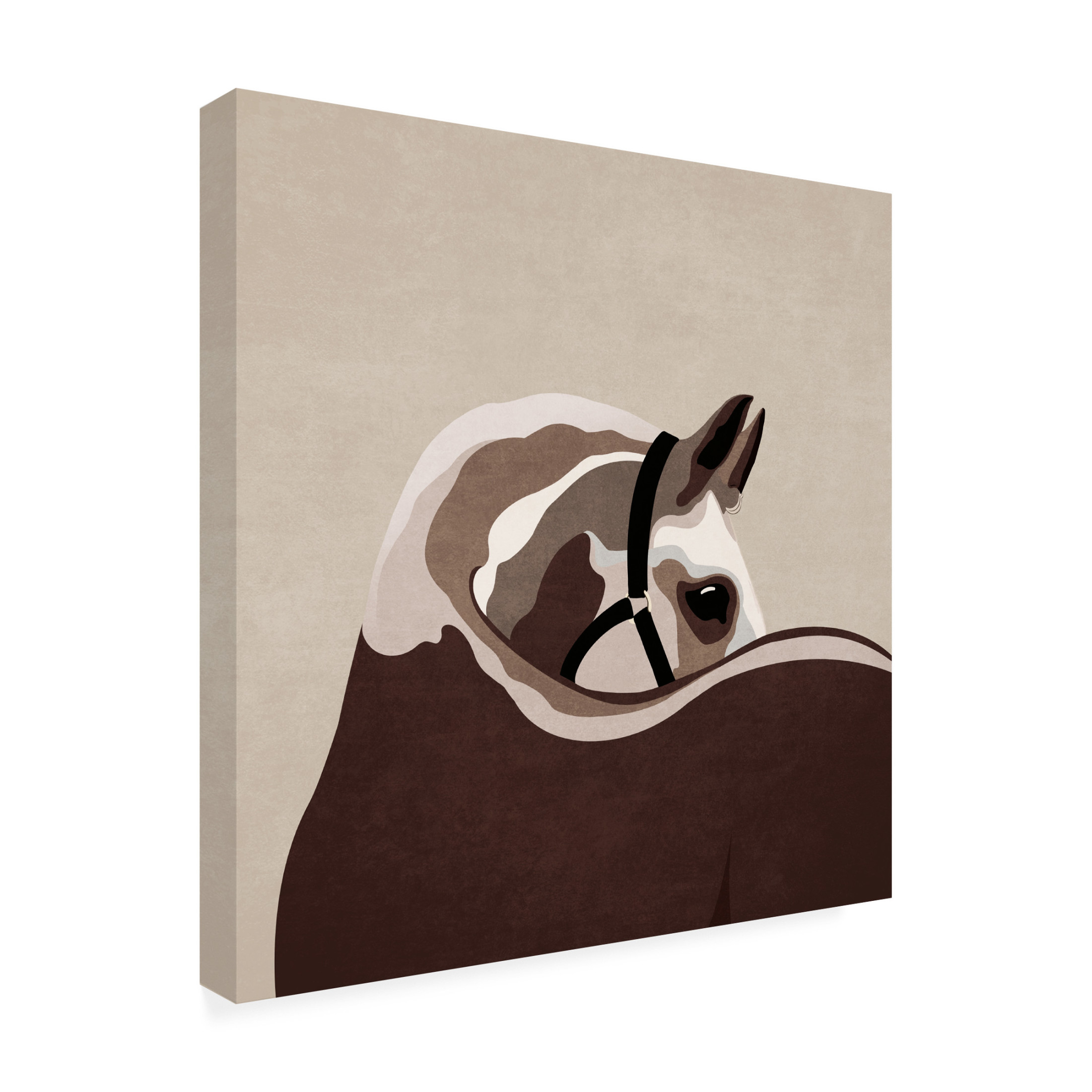 Trademark Fine Art Emel Tunaboylu Boho Western Horse Canvas Wall Art