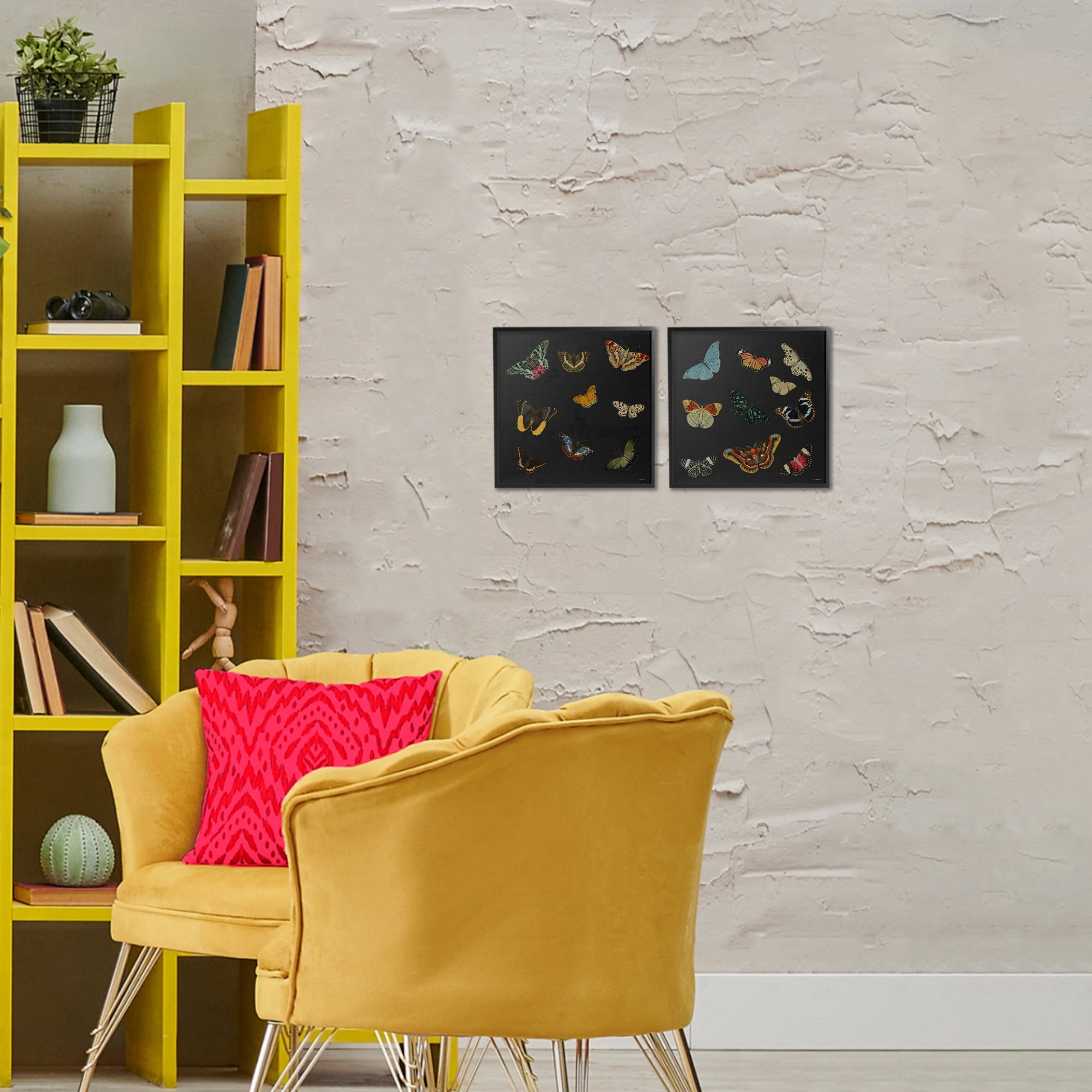 Stupell Industries Entomology Collection on Black 2 Piece Black Framed Giclee Art Set, design by Dan Meneely