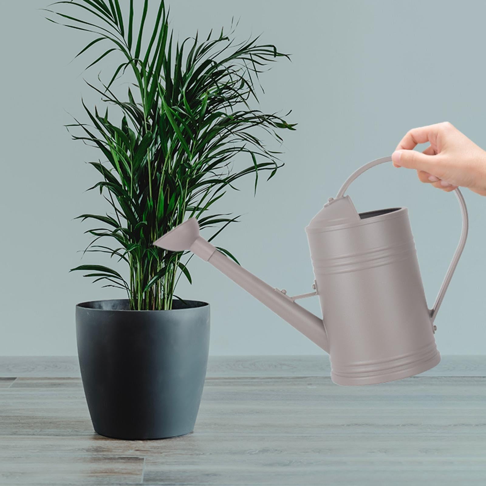 Aymzbd Watering Can Jug Decorative Plants Watering Pot for Garden Household Flowers 2L