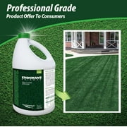 ENDURANT FW Concentrated Turf and Grass Colorant – 1 Gallon Jug