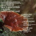 thumbnail image 6 of Routine Shampoo,Clarifying Shampoo,Black Ganoderma Shampoo for Dandruff Relief & Itch Control - Soft, Fragrant, Oil Control - 240ml(Multicolormulticolor), 6 of 9