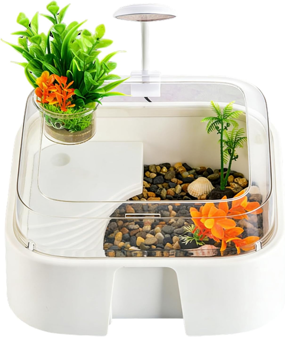 Tortoise Tank Set with Lighting, Artificial Plants, Stones, Raised Curved Design for Indoor
