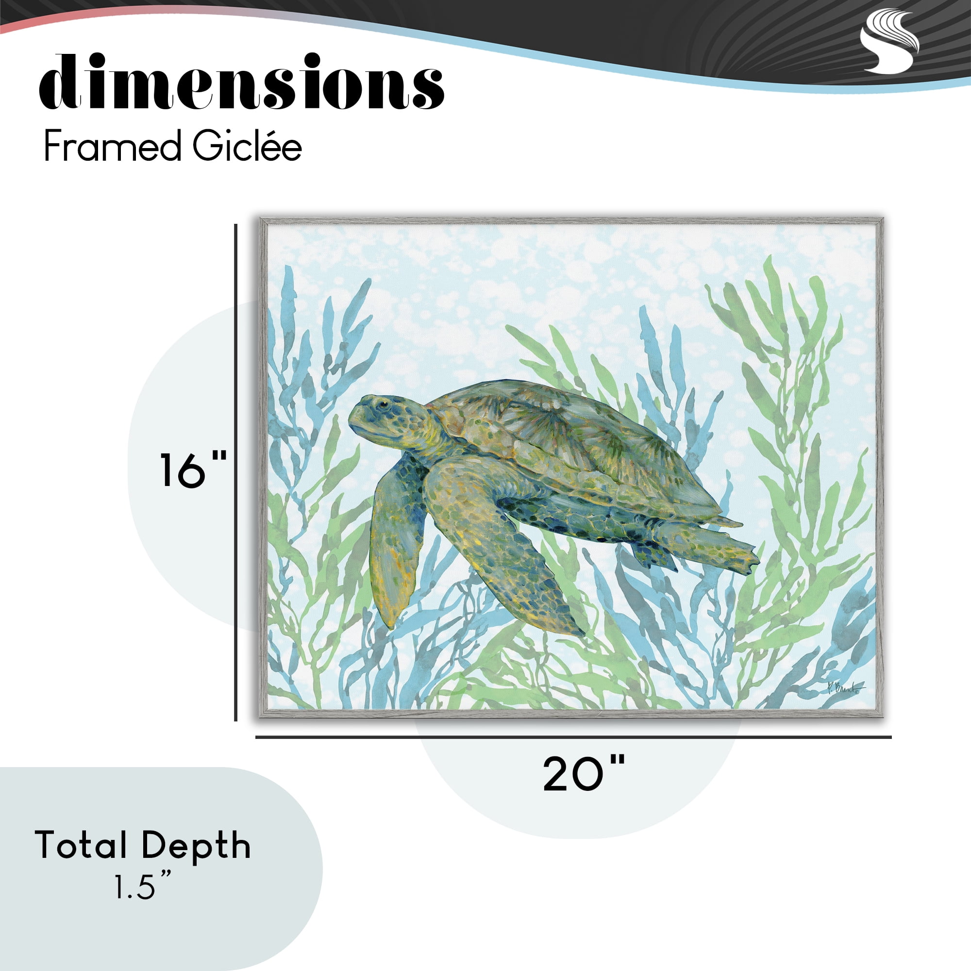 Stupell Industries Tasman Turtle in Seagrass Gray Framed Giclee Art, design by Paul Brent
