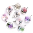 thumbnail image 2 of 3pcs Clear Round Glass Dried Flower Pendant Butterfly Flower Pendant Making Necklace Jewelry Accessories, 2 of 4