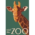 thumbnail image 3 of Giraffe Up Close - Visit the Zoo - Lantern Press Artwork (24x36 Giclee Gallery Print, Wall Decor Travel Poster), 3 of 3