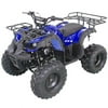 125cc Utility ATV Vitacci Rider 10