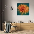 thumbnail image 3 of Jane-Ann Butler 20x20 Gallery Wrapped Canvas Wall Art Titled - Chrysanthemum on Turquoise, 3 of 4