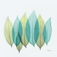 thumbnail image 3 of Koetsier, Albert 12x12 Black Modern Framed Museum Art Print Titled - Coculus Leaf L348, 3 of 5