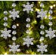 thumbnail image 5 of Fiudx Colgante de Copo de Nieve Transparente, Adorno para Árbol de Navidad, Diseño de Cristal, Elegante Decoración Navideña, para Uso En Interiores y Exteriores, Paquete de 15, Tamaño de 11,8 Cm, 5 of 6