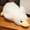 White, variant on Fluffy Duck Stuffed Animal Plush,Cute Duck Plush Pillow Animal Dolls Super Soft Duck Hugging Pillow Goose Plushies Birthday Gifts for Kids Boys Girls