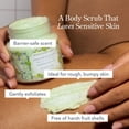 thumbnail image 4 of Acondicionador Jack Henry - Fórmula ligera ultrahidratante con aloe vera y aceite de rábano - Aumenta la suavidad del volumen y la salud del cuero cabelludo - Vegano limpio, no tóxico, sin sulfato - 1, 4 of 5
