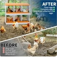 thumbnail image 5 of Chicken Nesting Box 6/8/10 Compartment Galvanized Steel Chicken Laying Boxes, Nesting Boxes for Chickens, Easy Egg Collection for Chicken Coop, Backyard, Farms, 5 of 9
