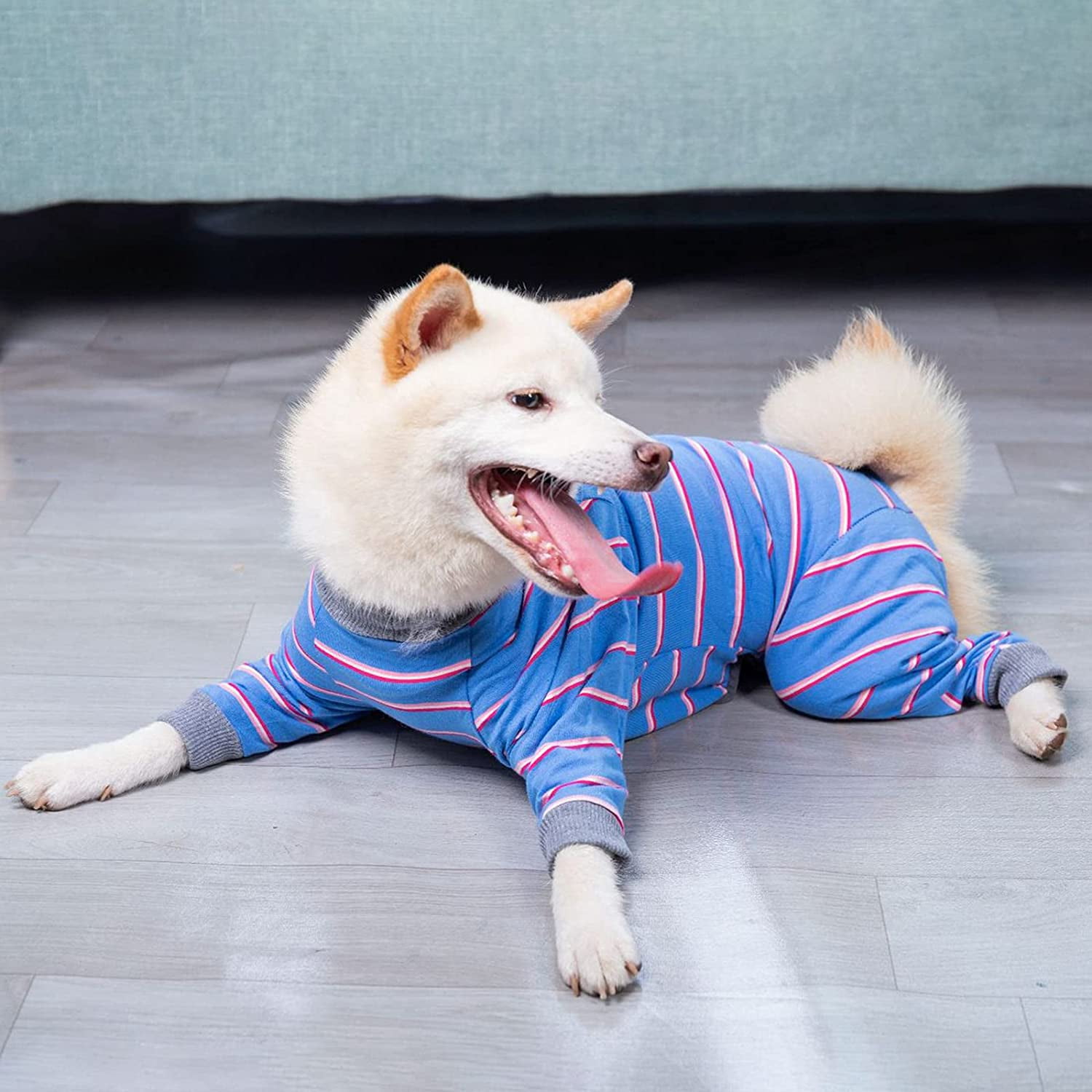 Dog recovery suit with legs online