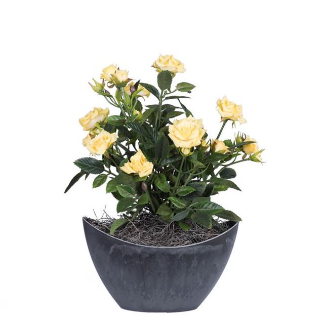 Vickerman 13.5" Jaune Mini Diamant Rosier dans un Récipient Ovale en Plastique Dur