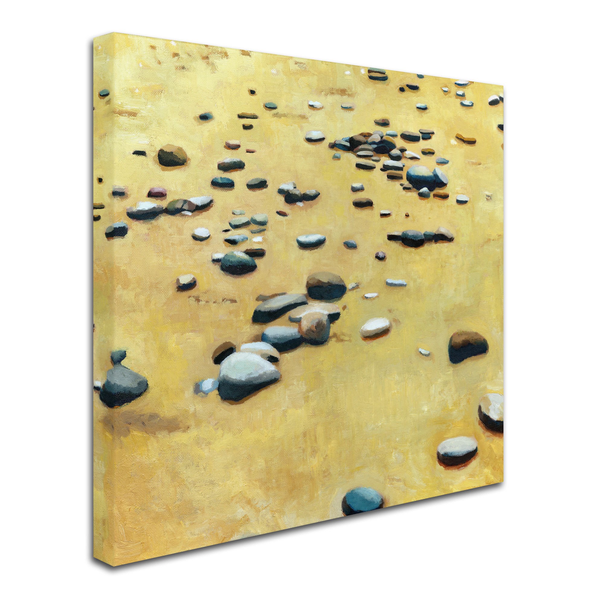 Trademark Fine Art "Pebbles on the Beach" Canvas Art by Michelle Calkins