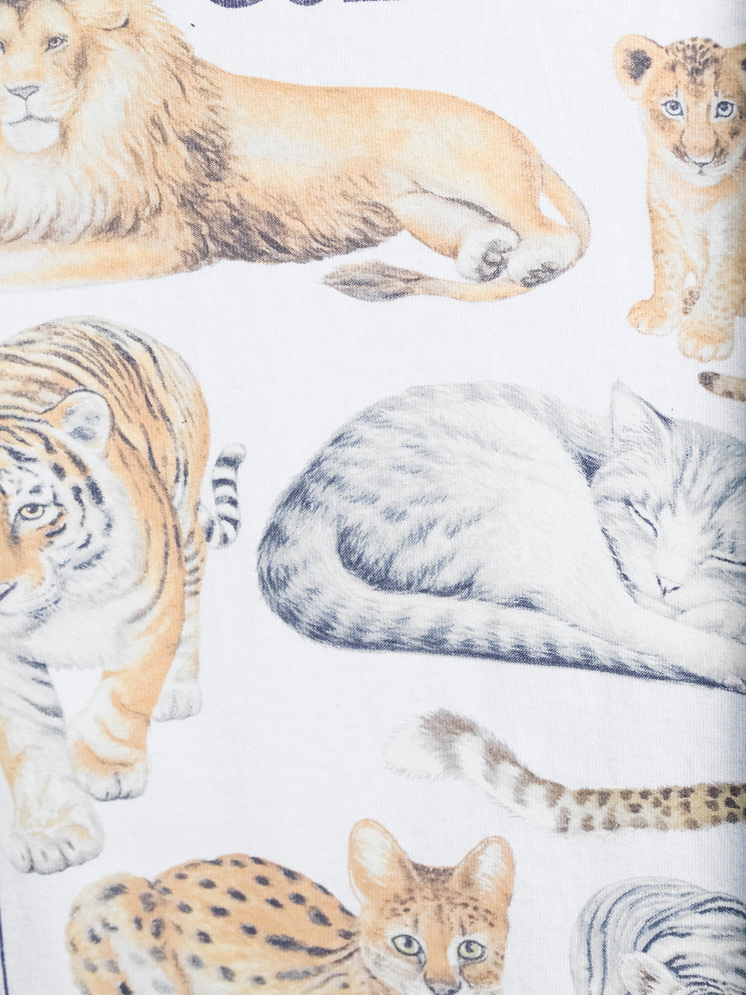 Cool Cats and Kittens Men's and Big Men's Graphic T-shirt