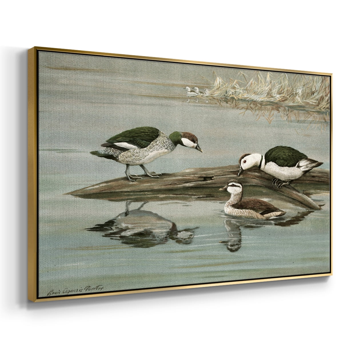 Vintage Animal Print-XIX By Wexford Home Framed in Gold Wood Gallery Wrapped Canvas 27 in. x 41 in.